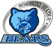 Broadbridge Heath team flag