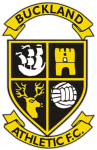 Buckland Athletic team flag