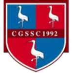 Crawley Green team flag