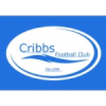 Cribbs team flag