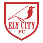 Ely City team flag