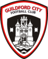 Guildford City team flag