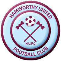 Hamworthy United team flag