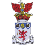 Irlam team flag