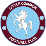 Little Common team flag