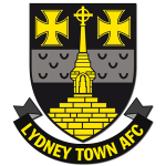 Lydney Town team flag