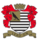 Molesey team flag