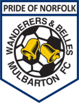 Mulbarton Wanderers team flag