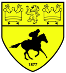 Newmarket Town team flag