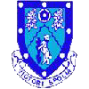 Rugby Town team flag