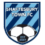 Shaftesbury Town team flag