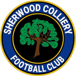 Sherwood Colliery team flag