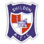 Shildon AFC team flag