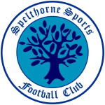 Spelthorne Sports team flag