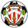 Thackley team flag