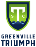 Greenville Triumph team flag