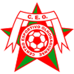 CEO team flag