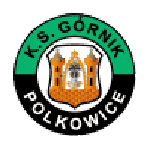 Górnik Polkowice team flag
