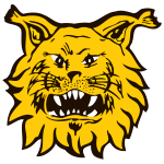 Ilves II team flag