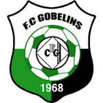 Gobelins team flag
