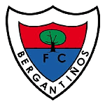 Bergantiños team flag