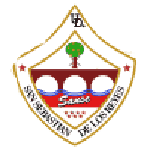 SS Reyes team flag