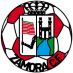 Zamora team flag
