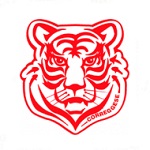 Correggese team flag