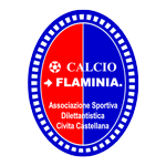 Flaminia team flag