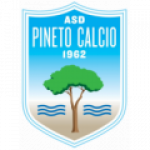 Pineto team flag