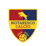 Notaresco team flag