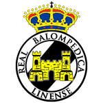 Linense team flag