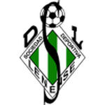Lenense team flag