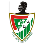 Guarnizo team flag