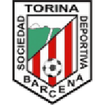 Torina team flag