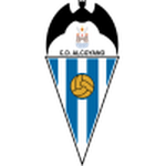 Alcoyano team flag