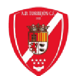 Torrejón team flag