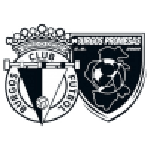 Burgos Promesas team flag