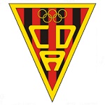 Azuqueca team flag