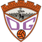 Guadalajara team flag