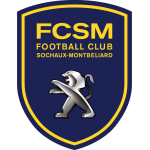 Sochaux II team flag