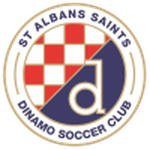St. Albans Saints team flag