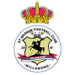 St George Willawong team flag